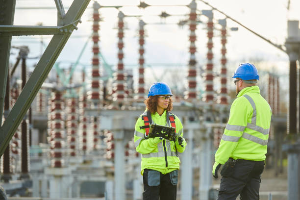 Best Electric Panel Repair  in Rock Port, MO